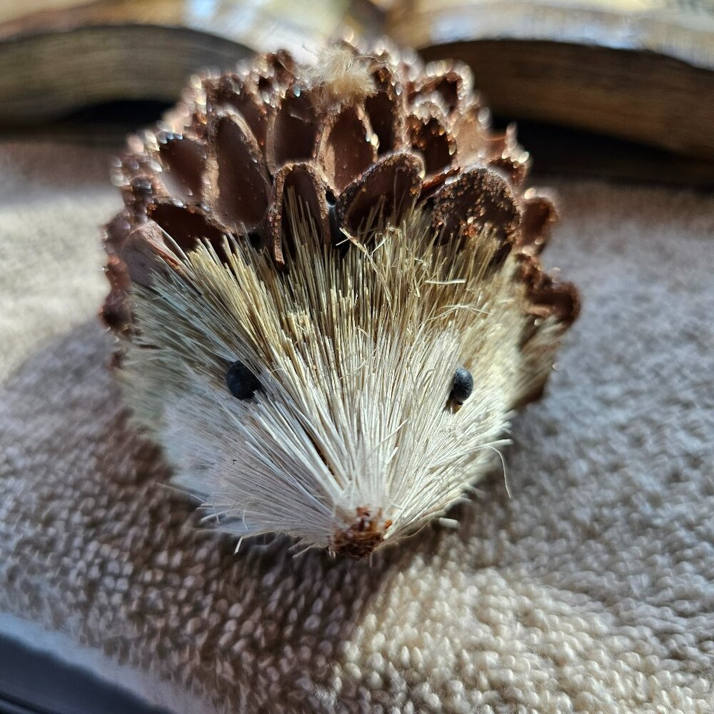 porcupine